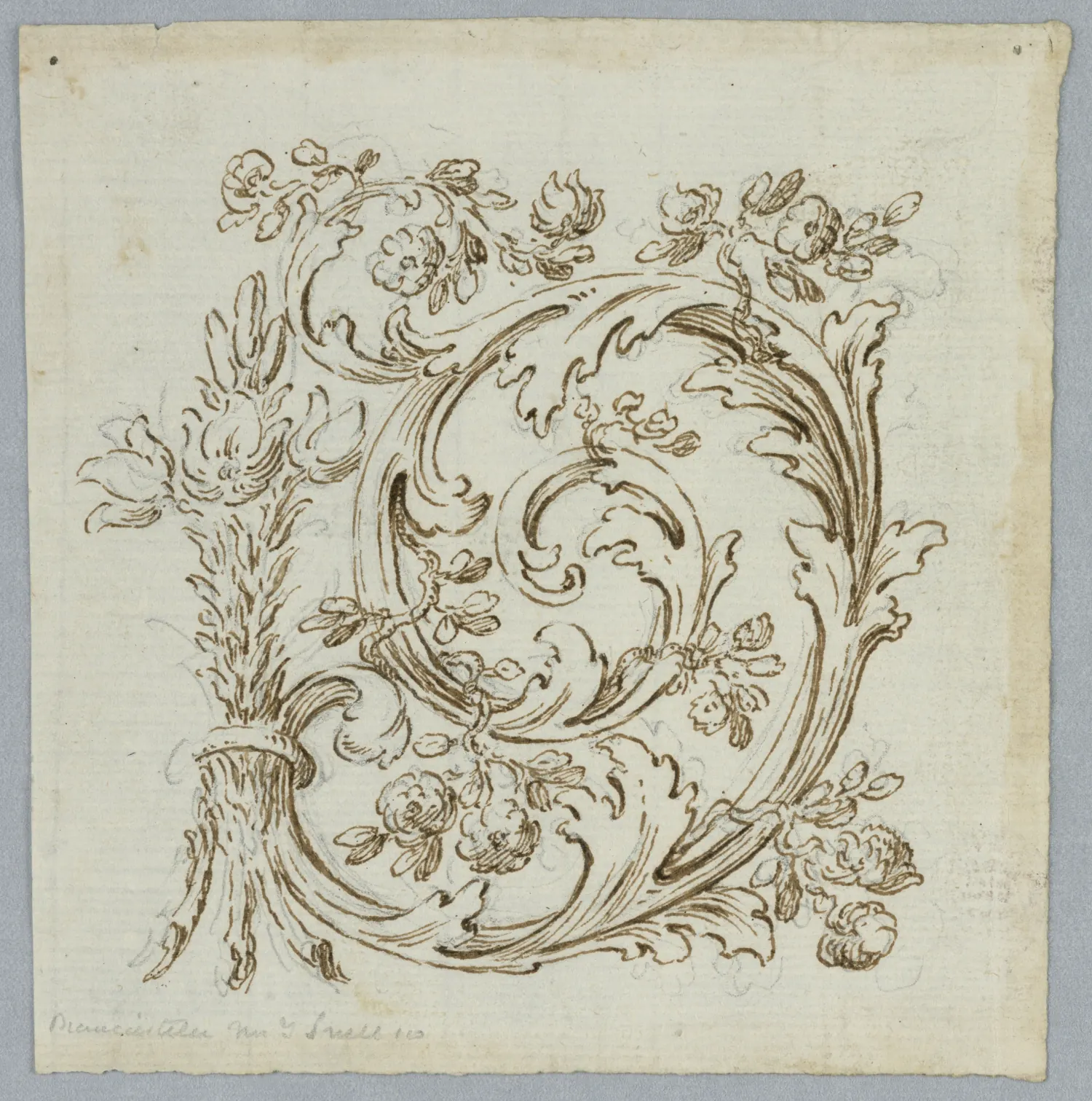 Eighteenth-century ink drawing of lilies and small flower branches bound into an acanthus scroll.